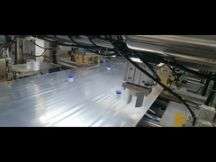 5L-200L Food Grade Metal Free Bag In Box vloeibare verpakking dubbele doppen