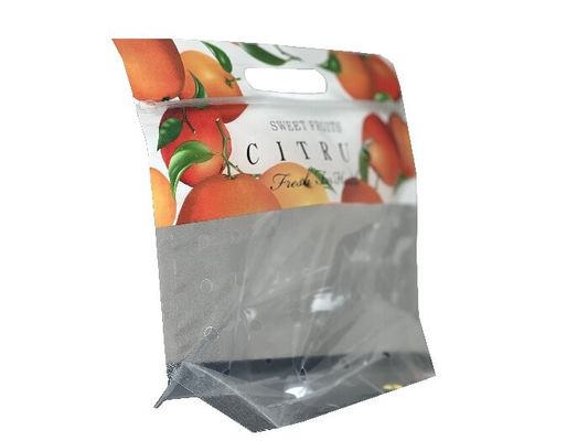 Gepersonaliseerde voedselverpakking Stand up rits zak voor fruit met punch gat