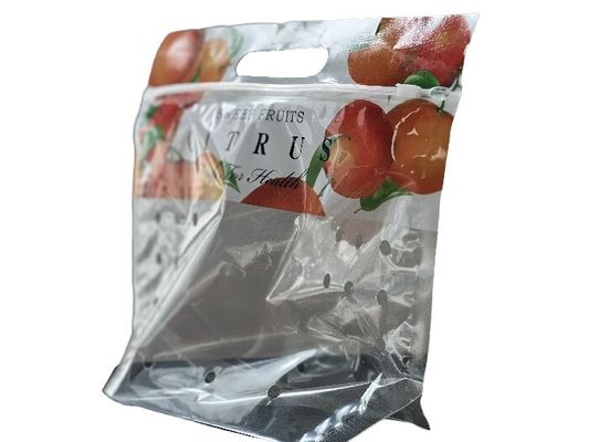 Gepersonaliseerde voedselverpakking Stand up rits zak voor fruit met punch gat