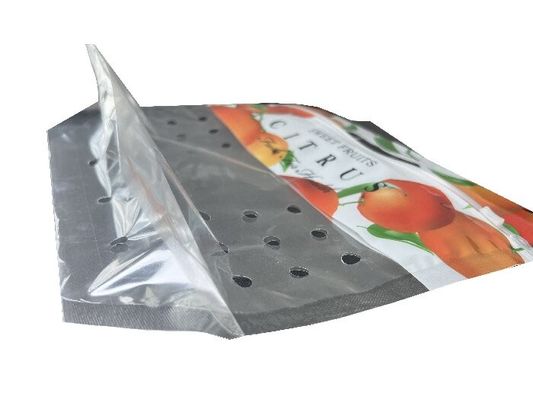 Gepersonaliseerde voedselverpakking Stand up rits zak voor fruit met punch gat