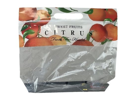 Gepersonaliseerde voedselverpakking Stand up rits zak voor fruit met punch gat